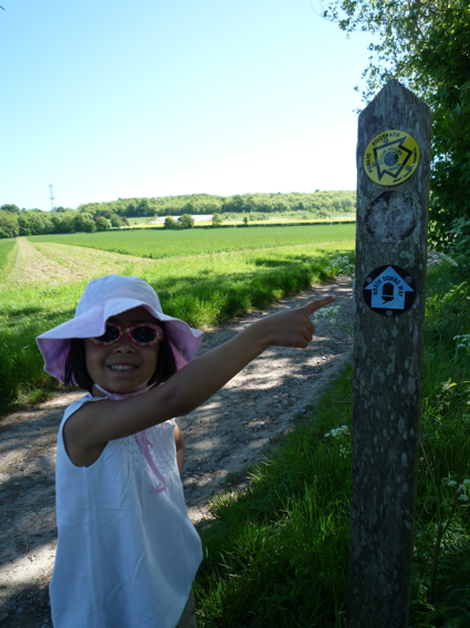 23 May walk 1.jpg